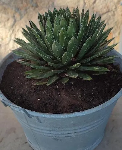 Frühstückspension Saracino Bari