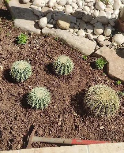 Frühstückspension Saracino 3*